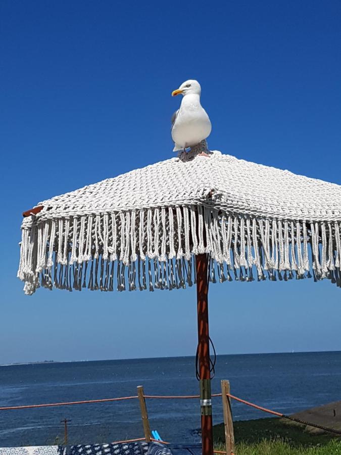 Romantisch Huisje Nabij Het Strand Met Uitzicht Op De Tulpenvelden جوليانادورب المظهر الخارجي الصورة