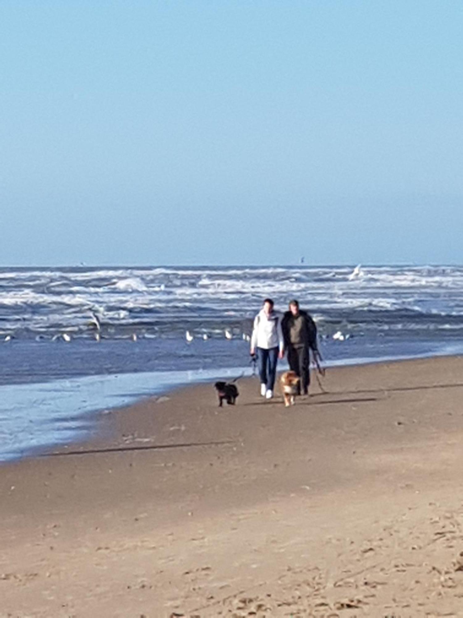 Romantisch Huisje Nabij Het Strand Met Uitzicht Op De Tulpenvelden جوليانادورب المظهر الخارجي الصورة