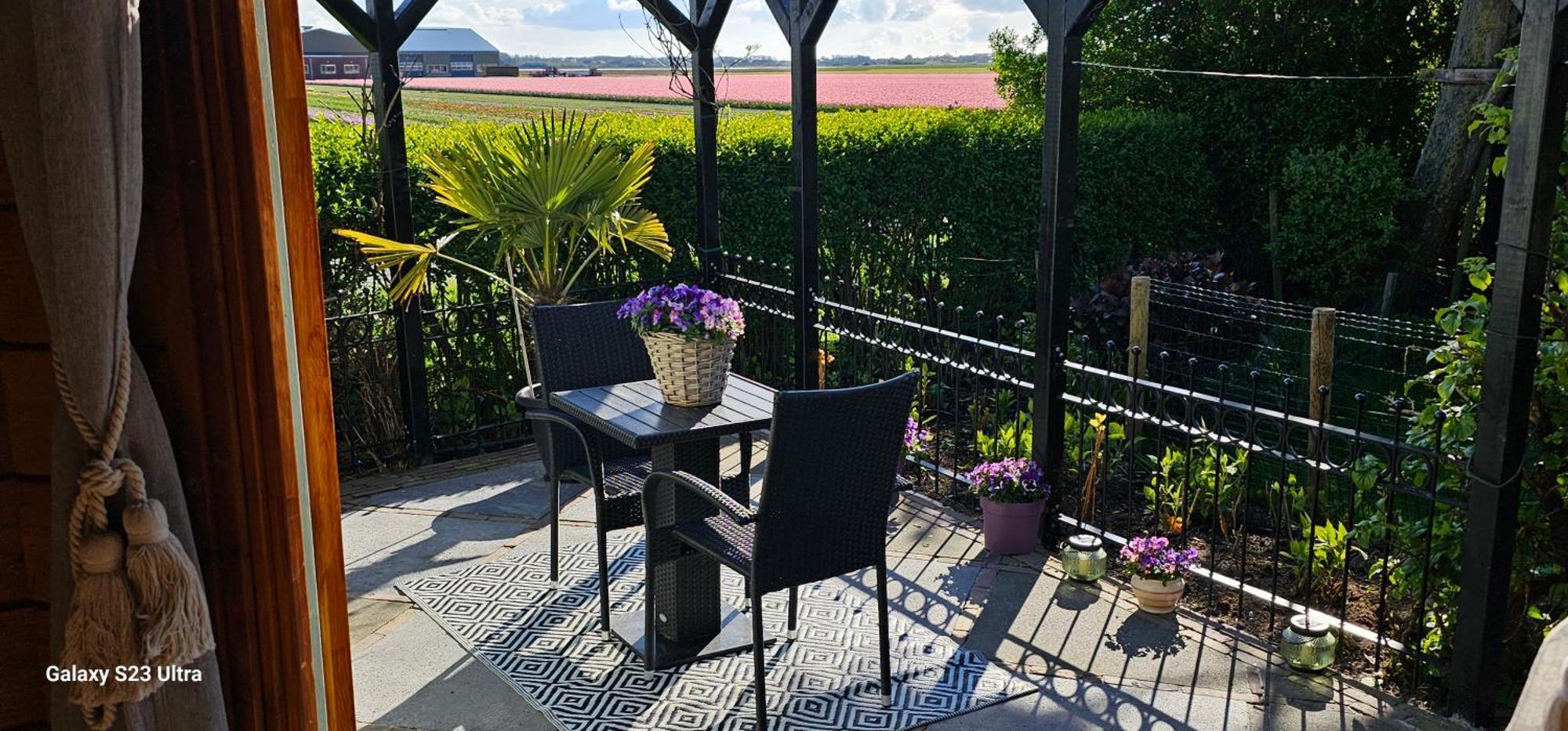 Romantisch Huisje Nabij Het Strand Met Uitzicht Op De Tulpenvelden جوليانادورب المظهر الخارجي الصورة