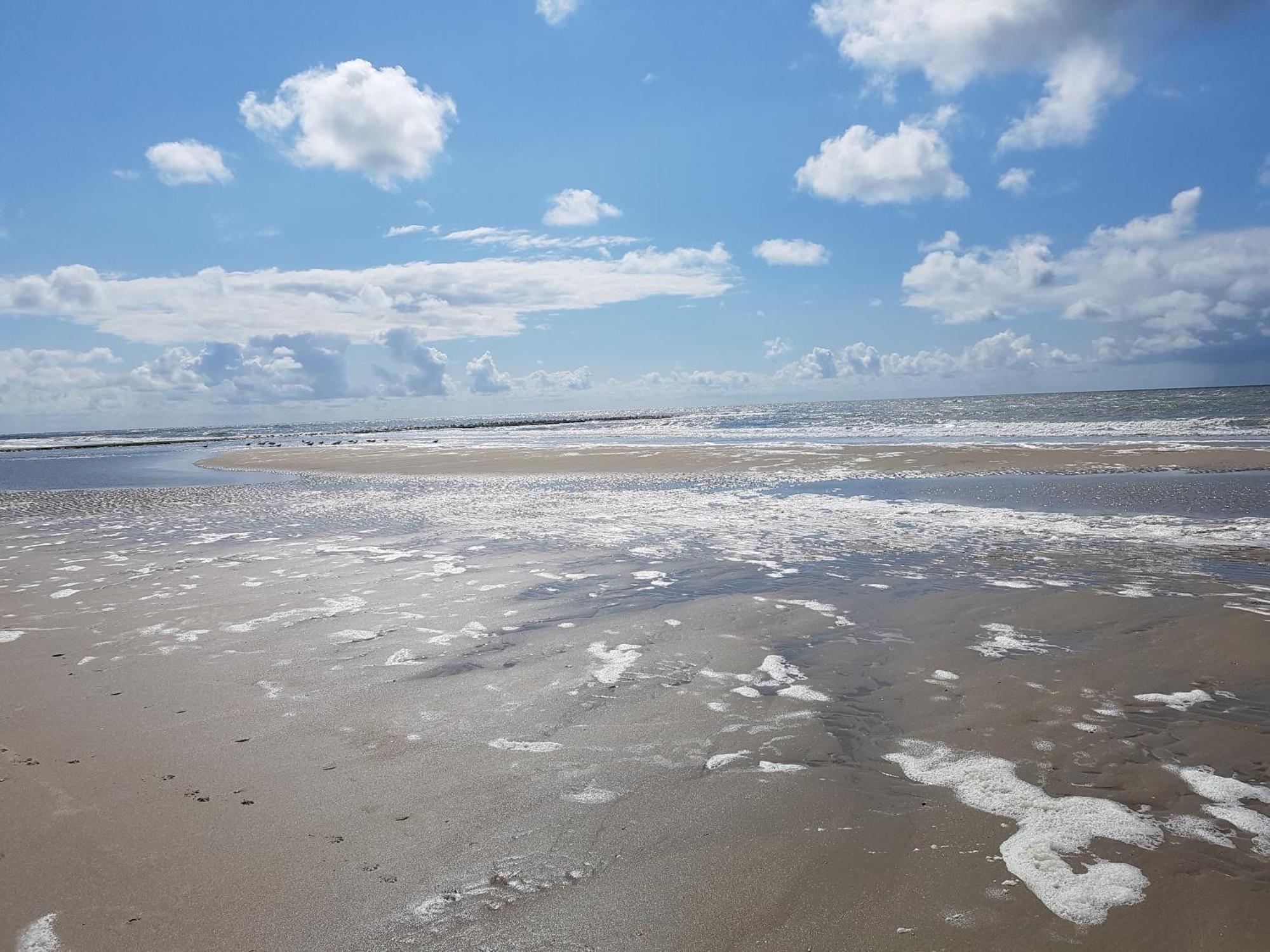 Romantisch Huisje Nabij Het Strand Met Uitzicht Op De Tulpenvelden جوليانادورب المظهر الخارجي الصورة
