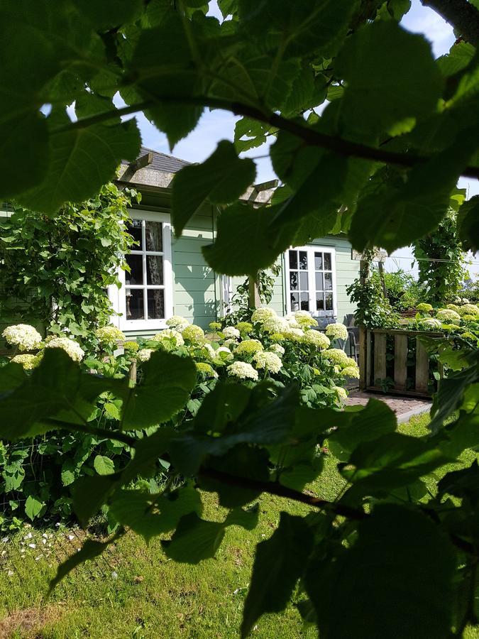 Romantisch Huisje Nabij Het Strand Met Uitzicht Op De Tulpenvelden جوليانادورب المظهر الخارجي الصورة